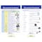 NewPath Learning® 18" x 12" Spelling Rules Bulletin Board Chart Set